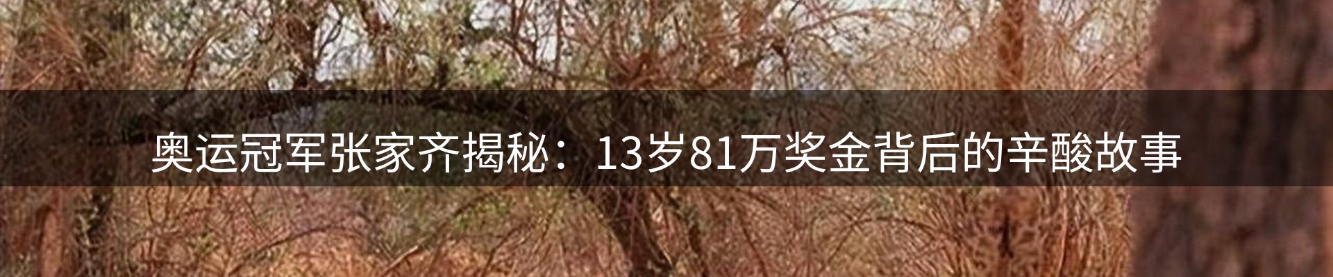 焦点优选